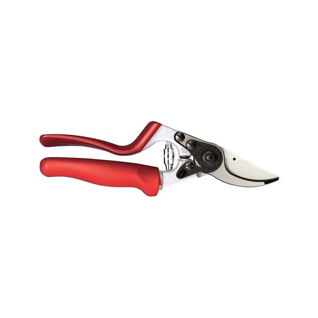 bigfrogsupply1442009