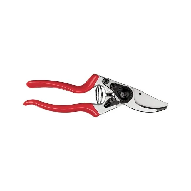 bigfrogsupply1442042