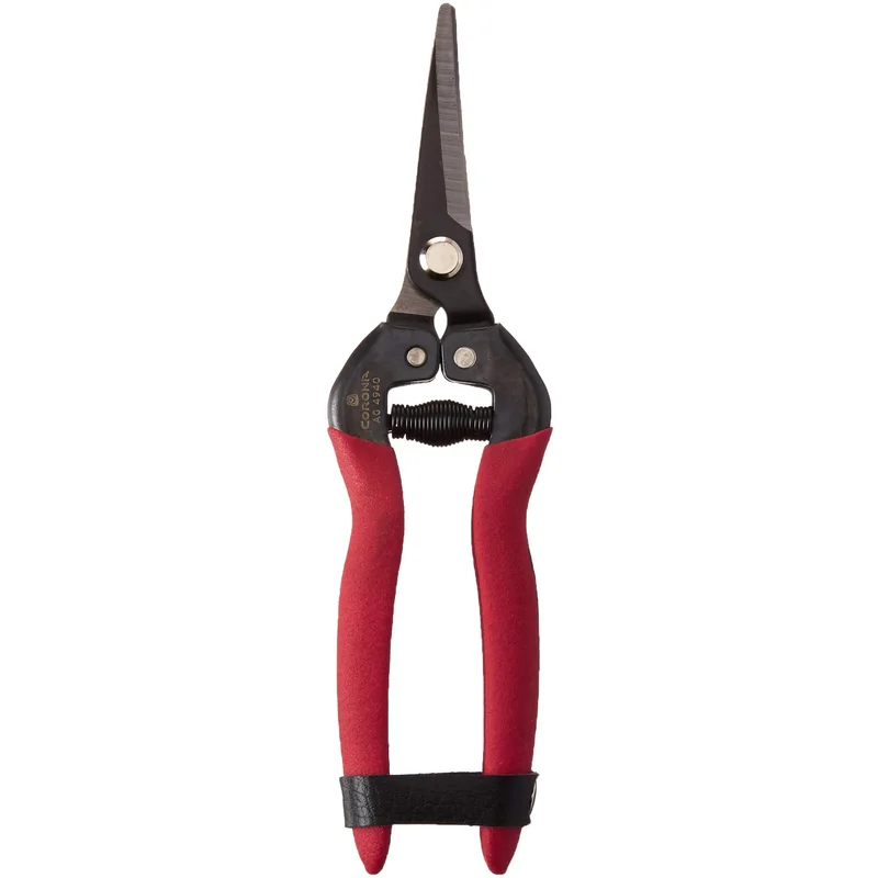 bigfrogsupply1461464