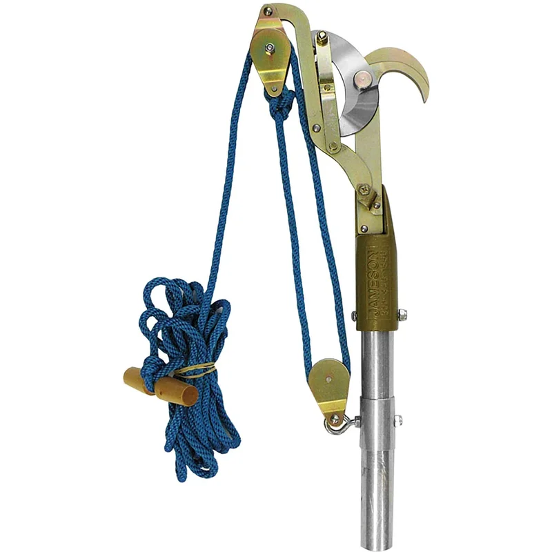 bigfrogsupply1464063