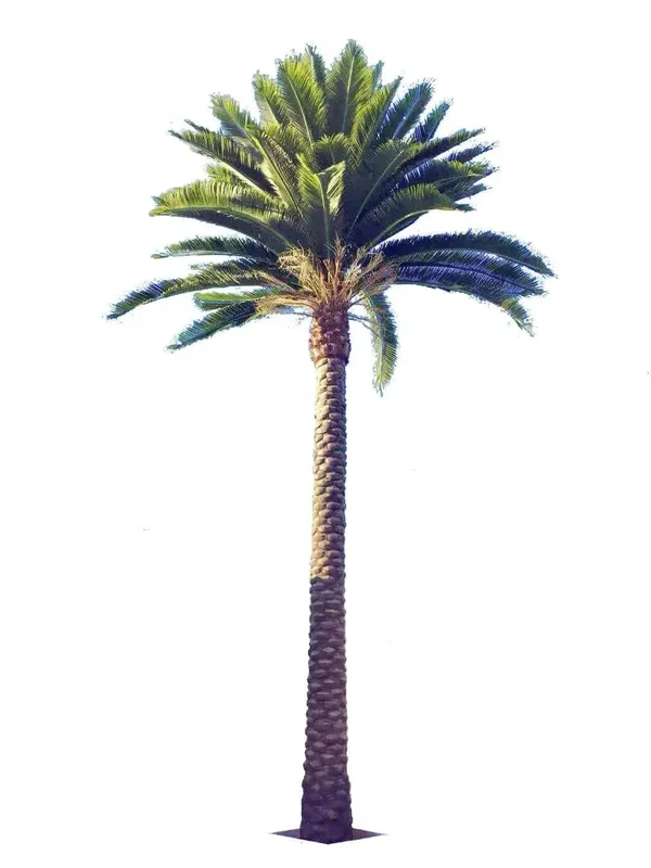 gobekusa31535874