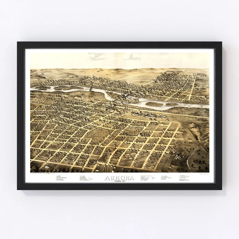 gobekusa61560493