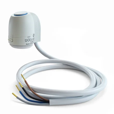pexuniverse-1685061