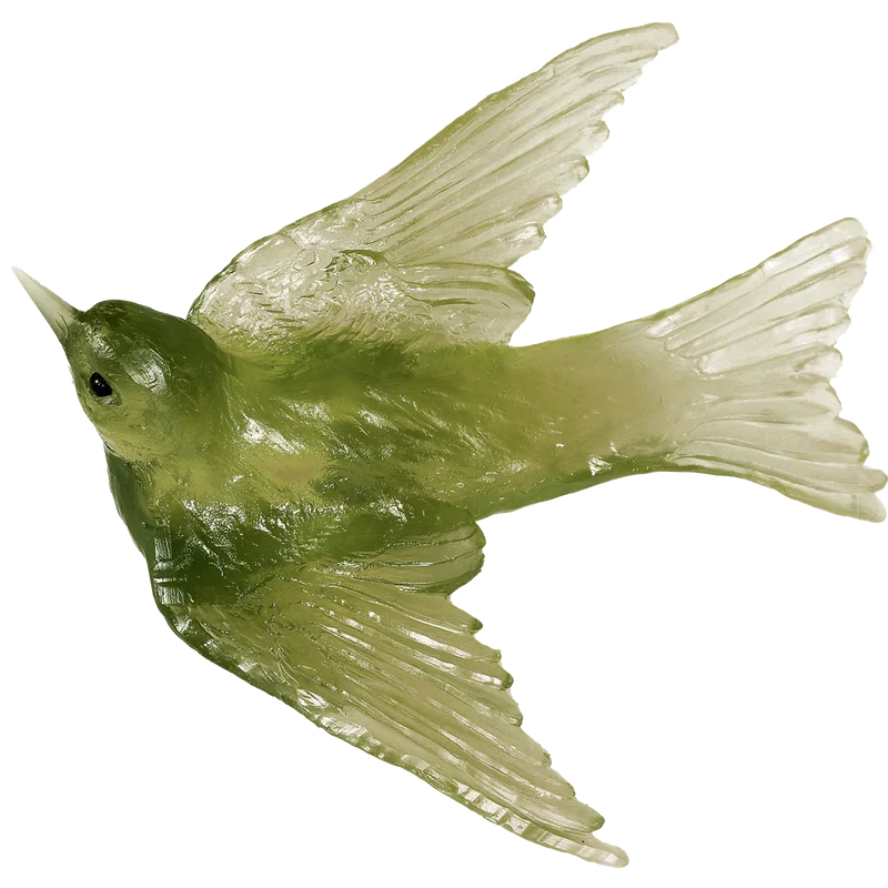 surfacegroup11539297