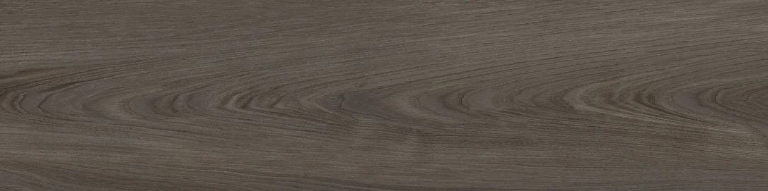 surfacegroup21502594