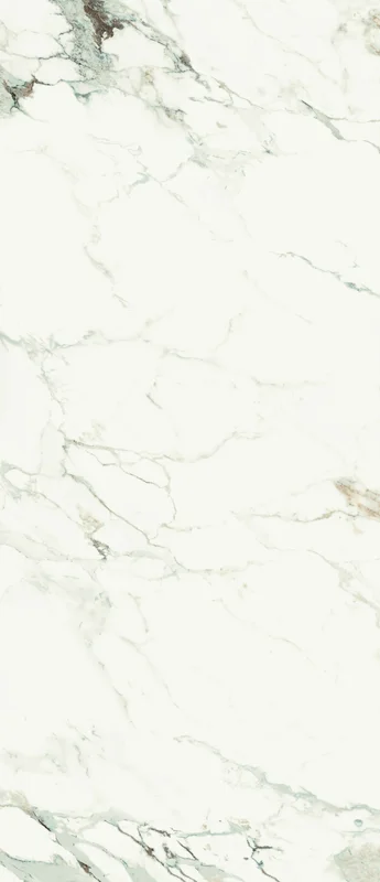 surfacegroup21540703