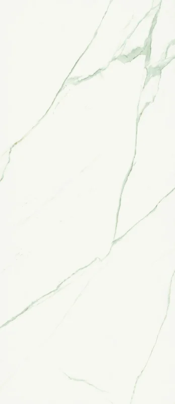 surfacegroup21541061
